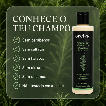 Champô de alecrim anti-queda da Orelvie