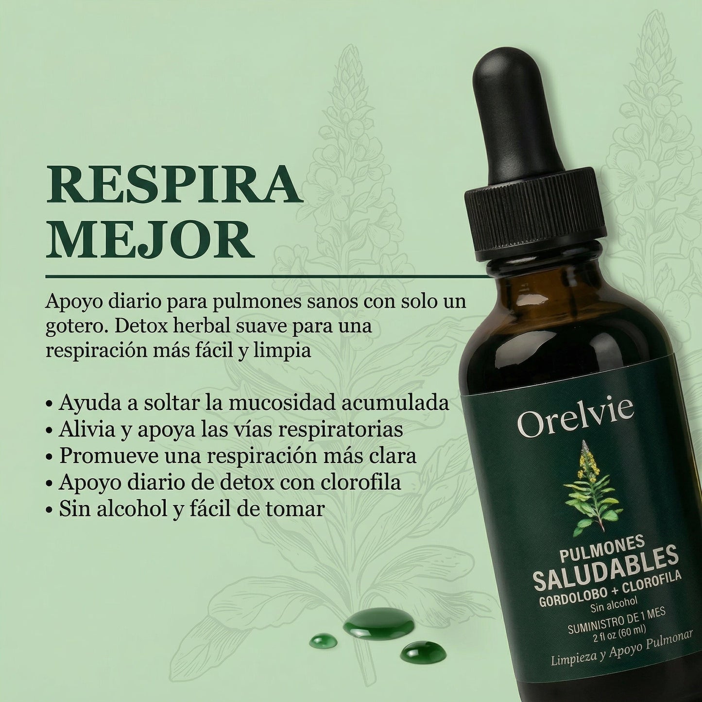 ORELVIE - Extracto de Gordolobo y Clorofila (Solución Definitiva Para Fumadores y Alergias)