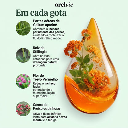 Orelvie Gotas para Drenagem Linfática: Desintoxicação Natural e Anti-inchaço